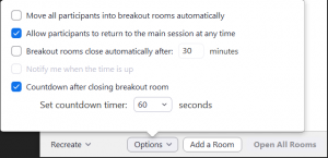 Zoom breakout room options popup window