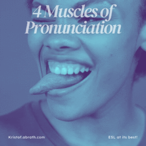 4 muscles of Pronunciation