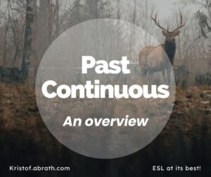 Past Continuous an Overview